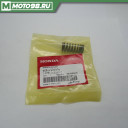 SPRING, VALVE (INNER)