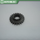GEAR-PRIMARY SPUR,22T