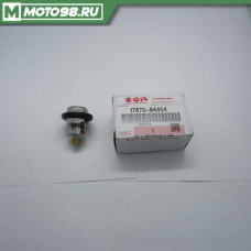 Thermostat,water 60 Deg / ТЕРМОСТАТ, 1767094404, 17670-94404, 17670 94404, SUZUKI