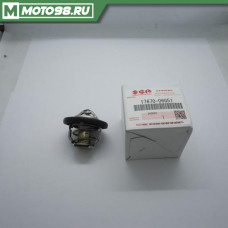 Thermostat Comp,water / ТЕРМОСТАТ, 17670-06G51, 17670-06G51-000, 17670 06G51 000, SUZUKI