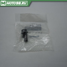 PLUG,DRAIN,10X22 / ПРОБКА, 920660038, 92066-0038, 92066 0038, KAWASAKI