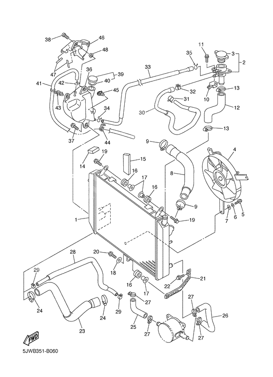 Radiator & hose