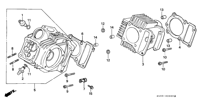 Cylinder head/cylinder