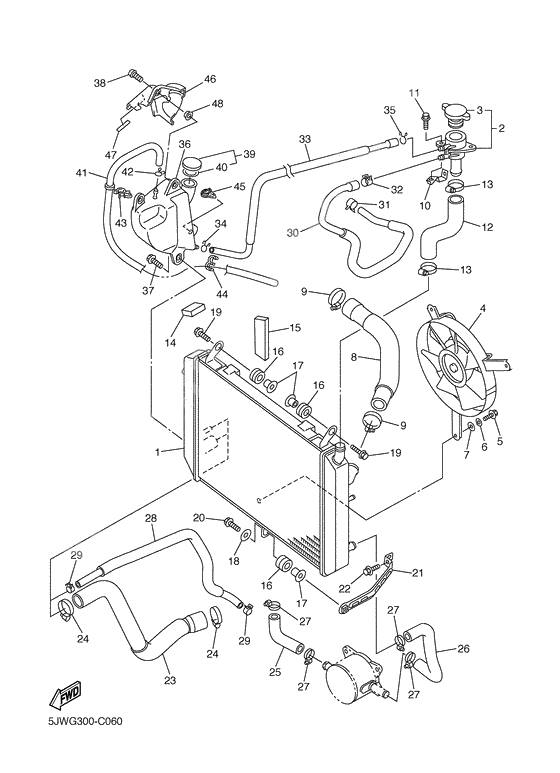 Radiator & hose