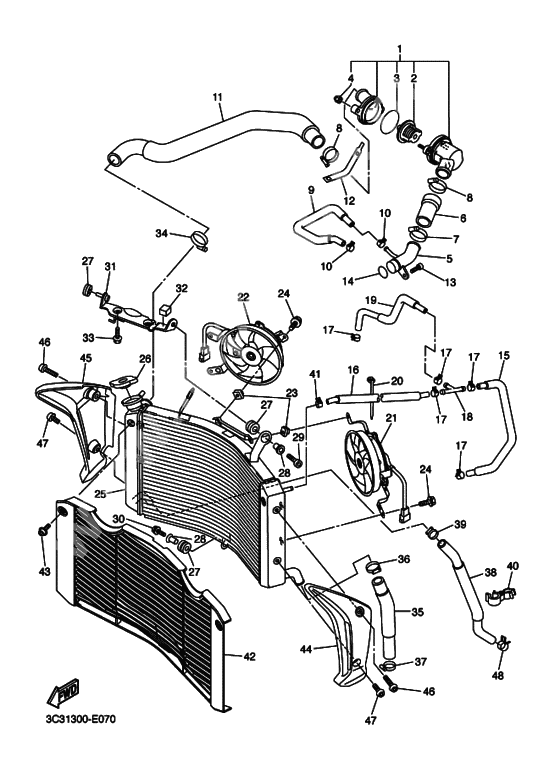 Radiator & hose