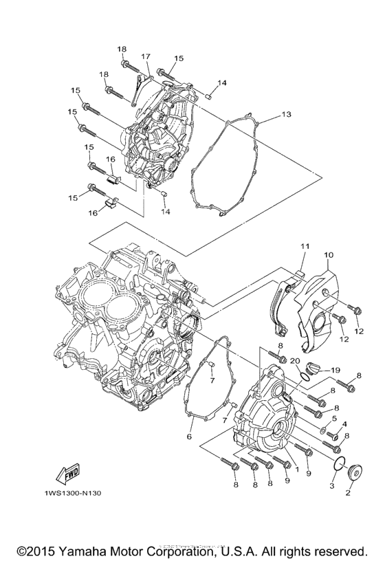 Crankcase cover              

                  1