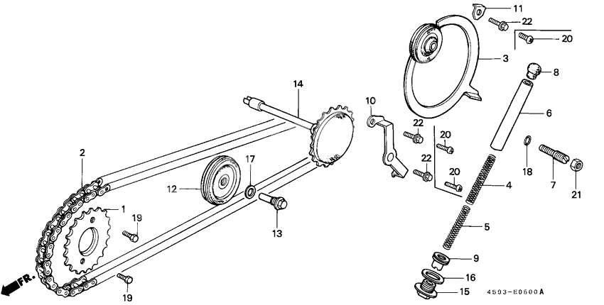 Cam chain/tensioner