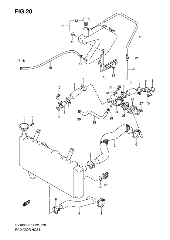 Radiator hose