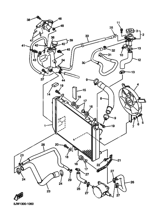 Radiator & hose