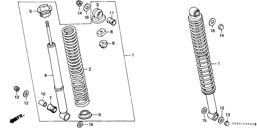 Rear cushion              

                  1