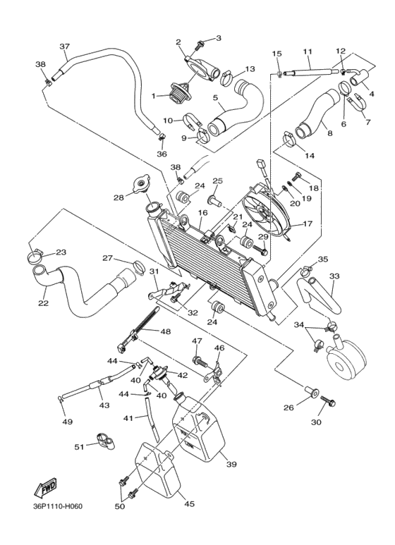 Radiator & hose