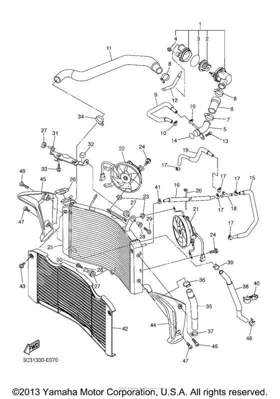 Radiator hose