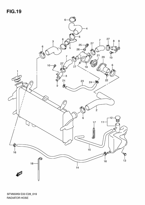 Radiator hose