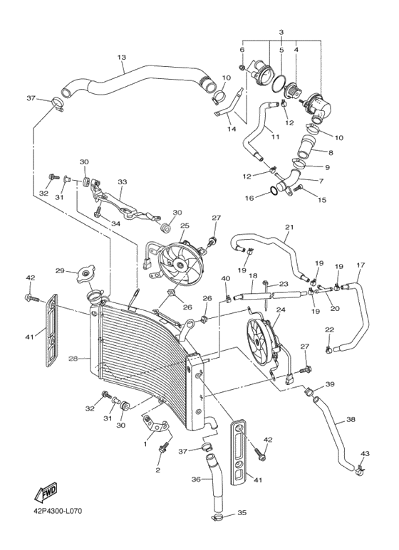 Radiator & hose