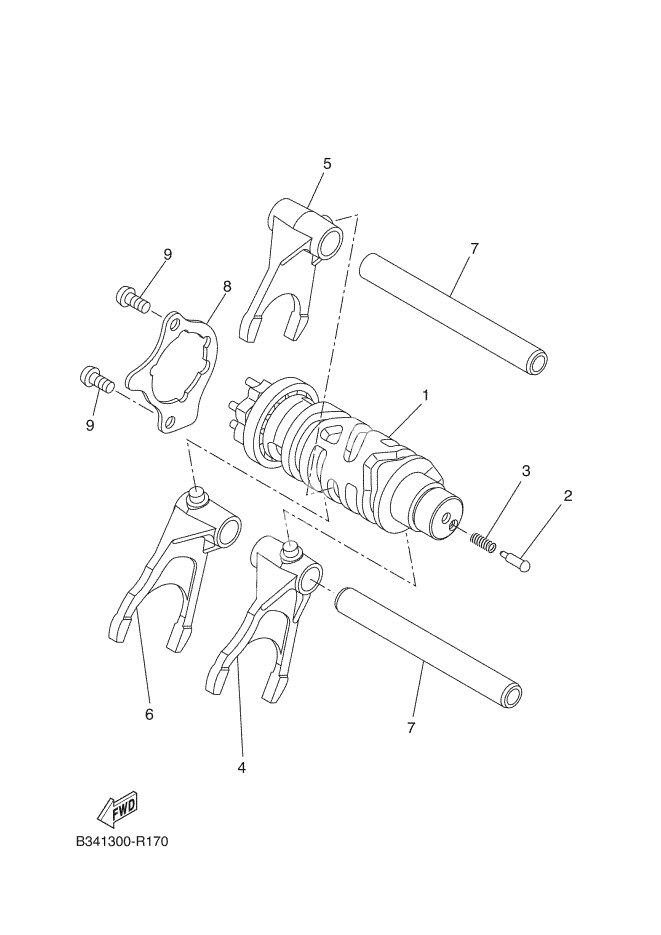 SHIFTCAM, FORK