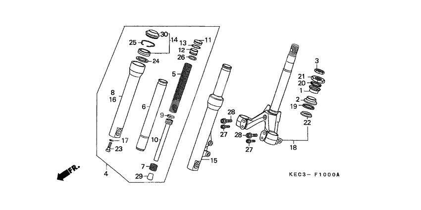 Front fork/front cushion