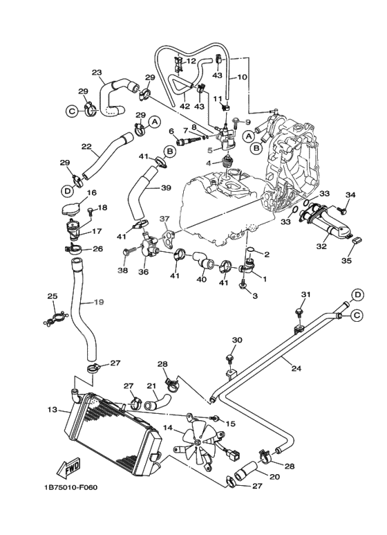 Radiator & hose