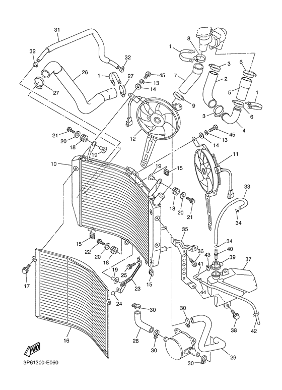 Radiator & hose