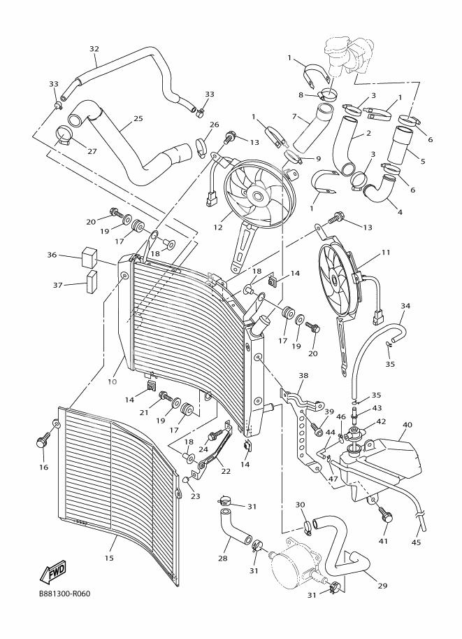 RADIATOR AND HOSE