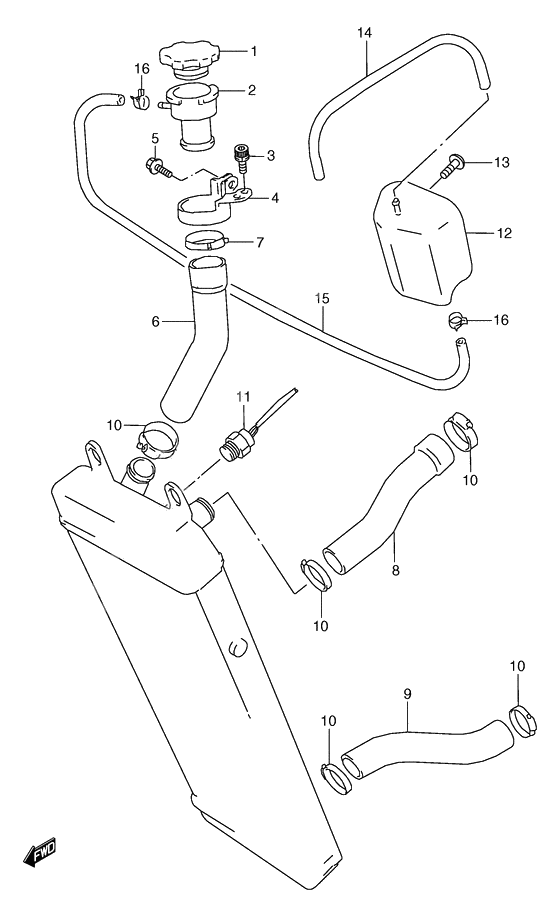 Radiator hose