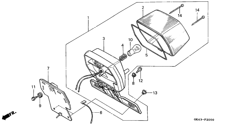 Taillight unit ass`y              

                  C50DF/G/DG/SN