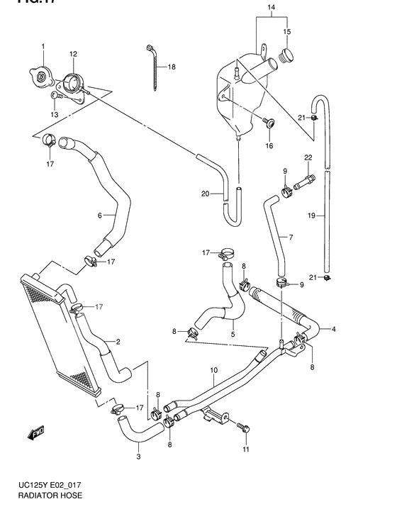 Radiator hose