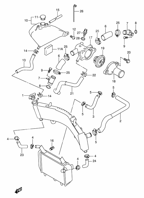 Radiator hose