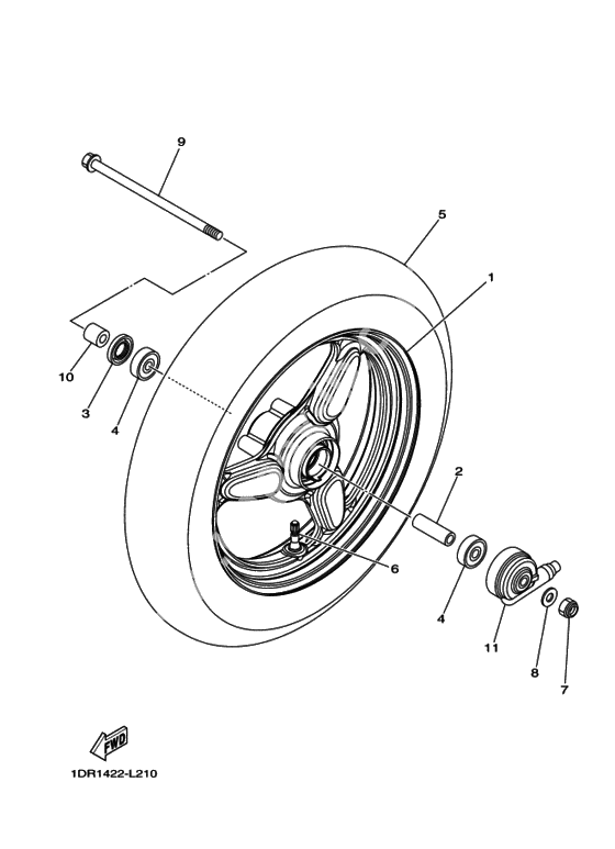 Front wheel for cast wheel