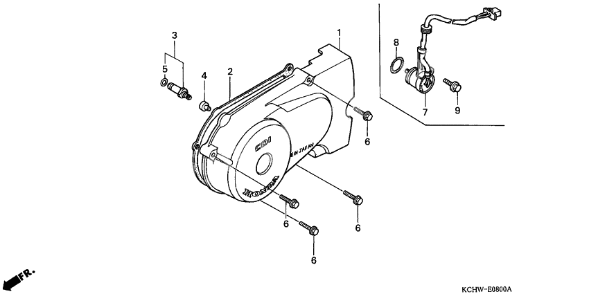 Left crankcase cover              

                  1