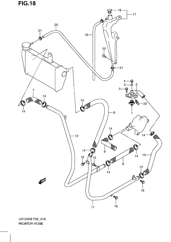 Radiator hose