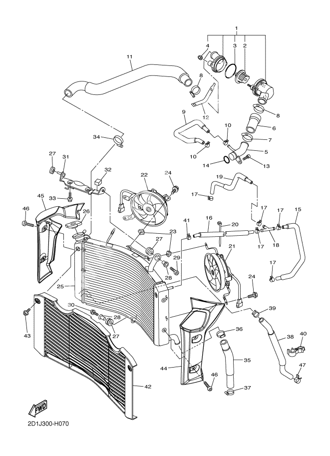 RADIATOR AND HOSE