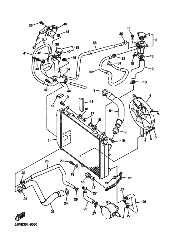 Radiator & hose