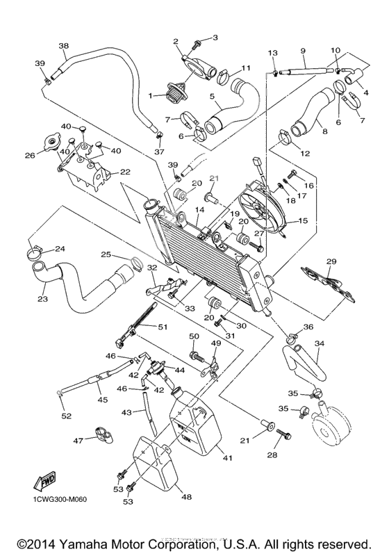 Radiator hose