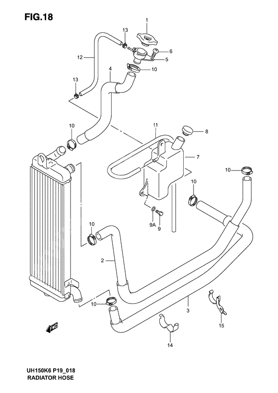 Radiator hose