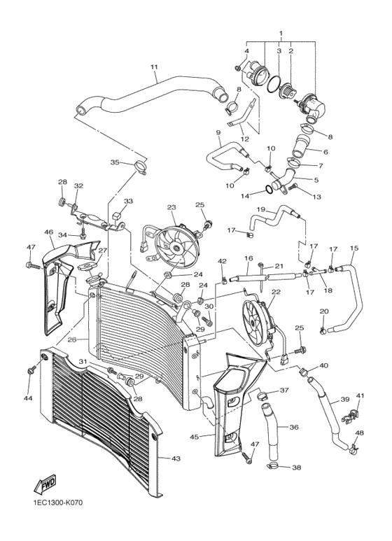 Radiator & hose