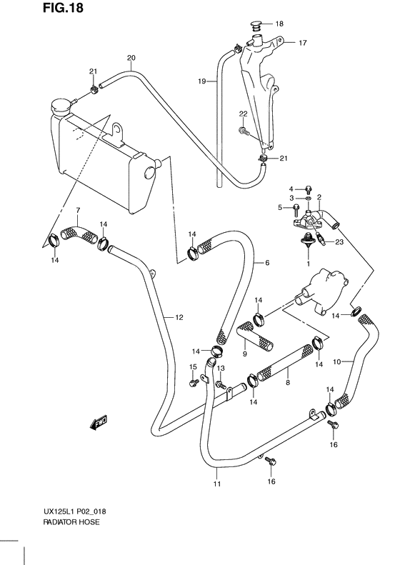 Radiator hose