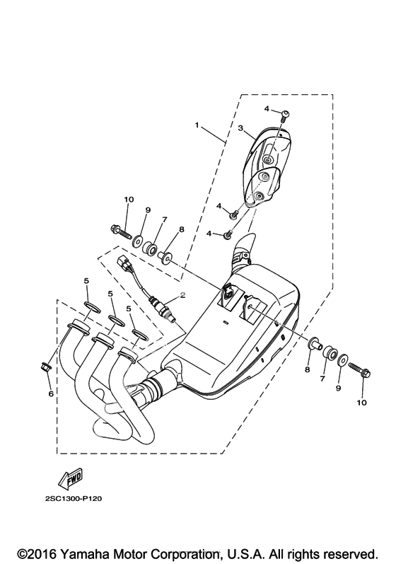 Выхлопная система