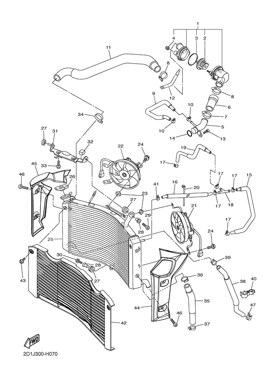 Radiator & hose