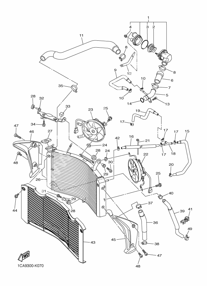 RADIATOR AND HOSE