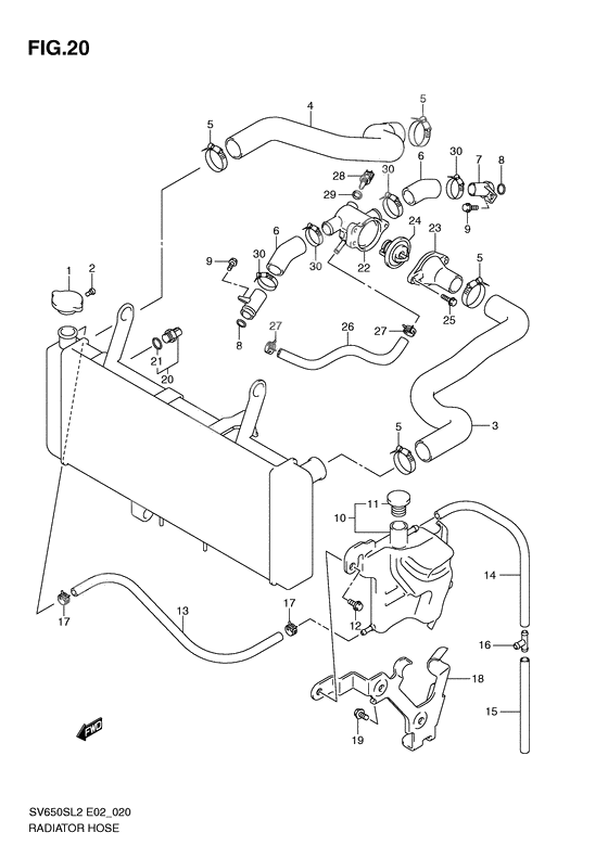 Radiator hose