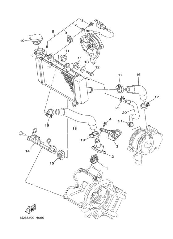 Radiator & hose