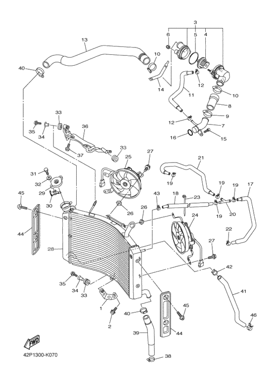 Radiator & hose