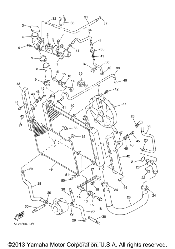 Radiator hose