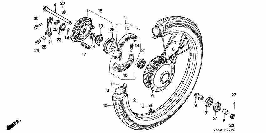 Front wheel/panel              

                  C50LAG/G/J/N/SN