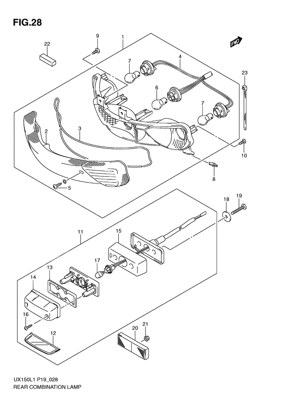 Rear combination lamp