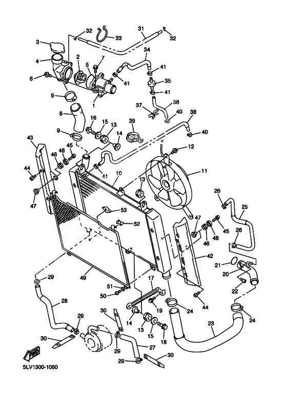 Radiator & hose