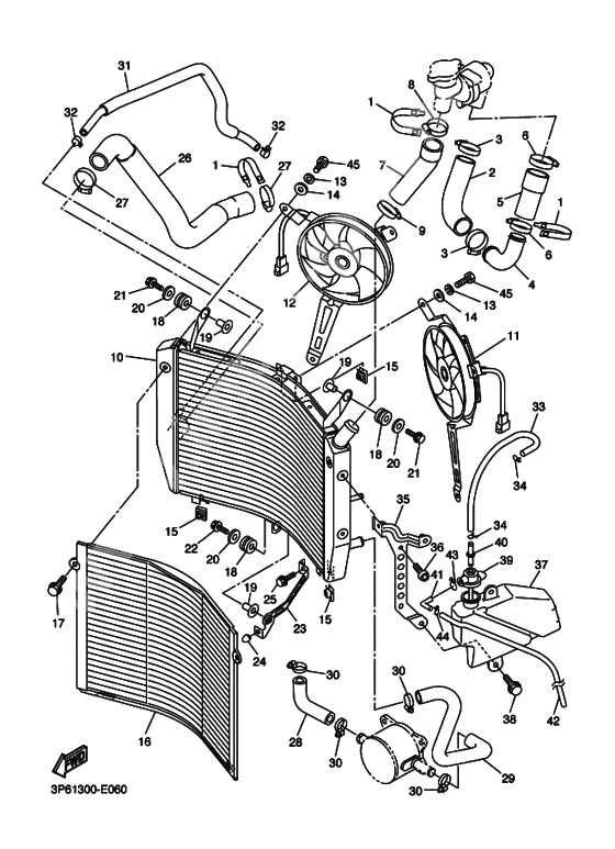 Radiator & hose