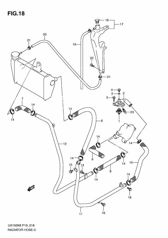 Radiator hose