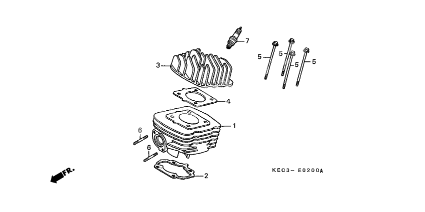 Cylinder/cylinder head