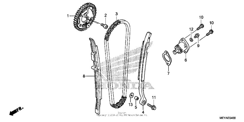 Cam chain + tensioner